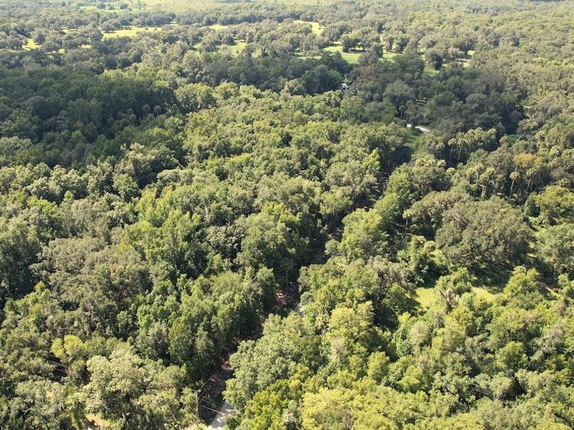 1.01ac, Citrus, Josiah Ronco15