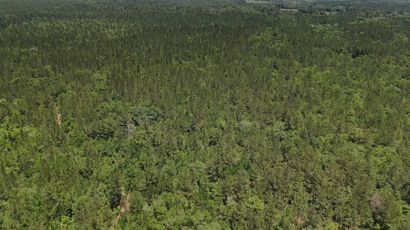 DJI_20240516124411_0021_D