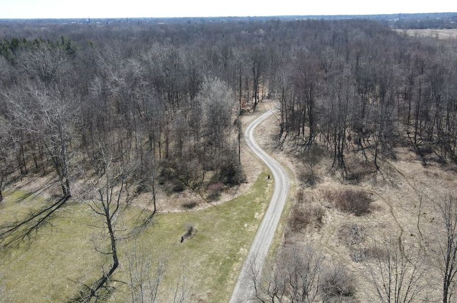 45 DJI_0959
