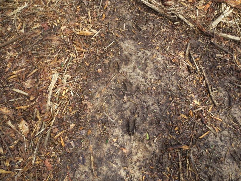 362DC294-DF95-4CB9-953B-F42EE793FC5F_1_105_c