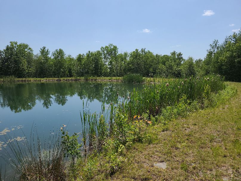 photo_42da5e14-9f96-4721-96d7-b18ce08e85da