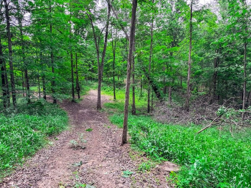 Wirt, WV 137.45 AC Full-28