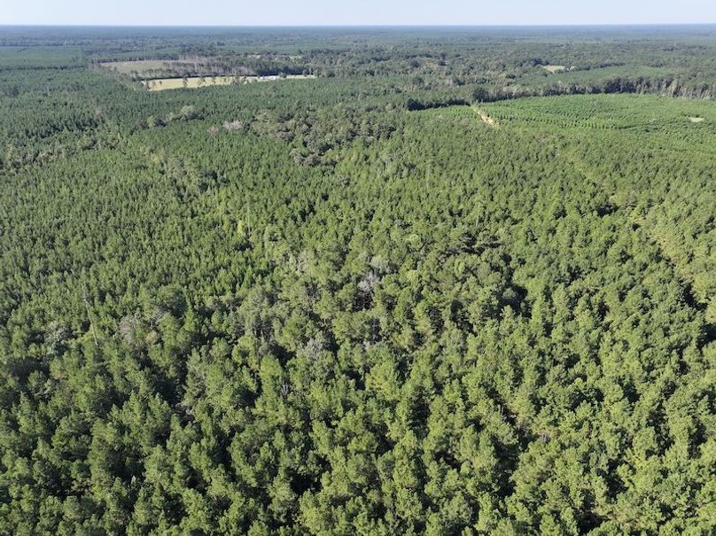 dji_fly_20250908_093950_0419_1757354102658_photo