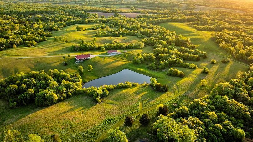 Harrison Grand Trace-9