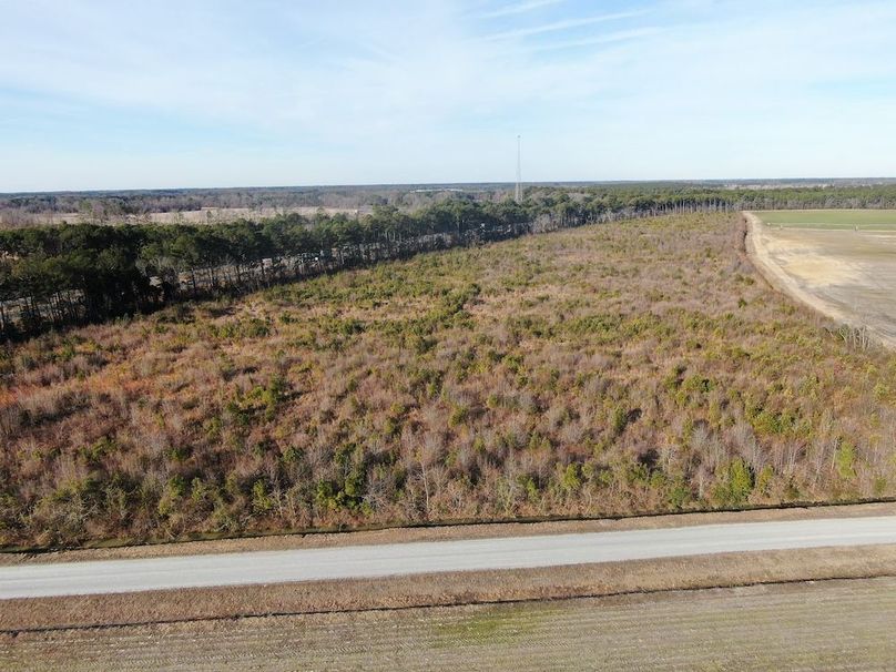 DC519BD7-A364-4C91-B89A-69D15660B20D