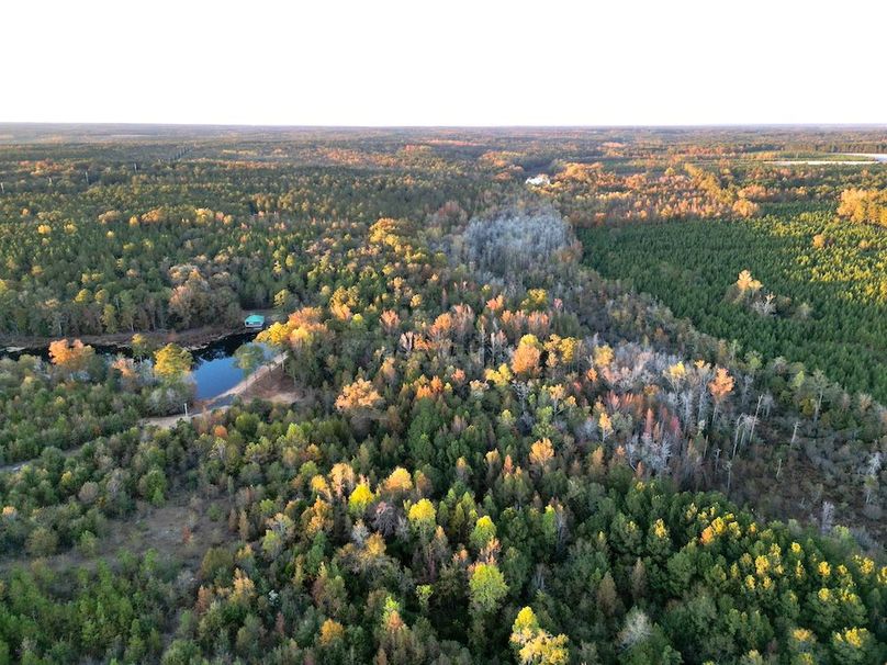 dji_fly_20251103_173346_407_1762260576673_photo