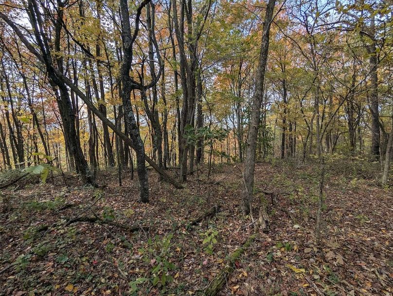 PXL_20251101_182033169