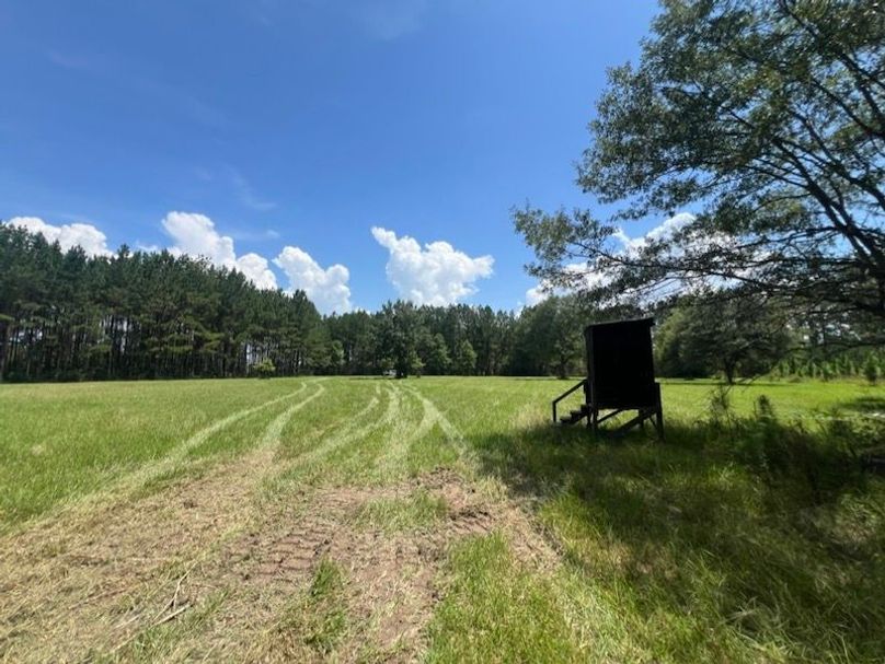 215CBC18-584B-4C5B-BF06-BEFBA6C53BB2_1_105_c