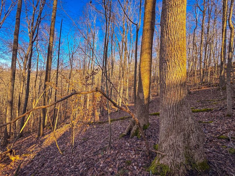 Lewis, WV 82.87 AC Barger-48