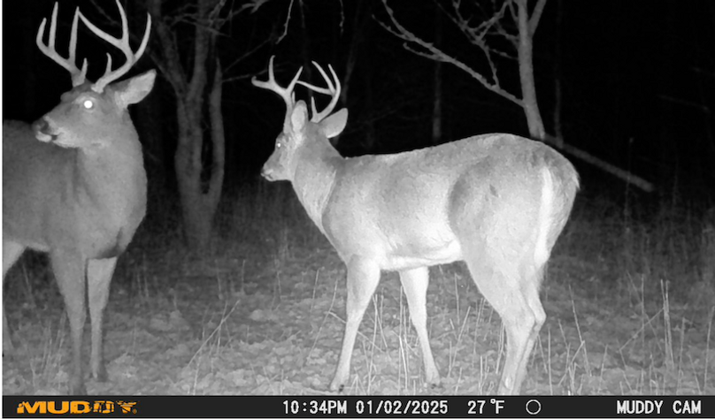 Screen Shot 2025-07-16 at 12.44.44 AM