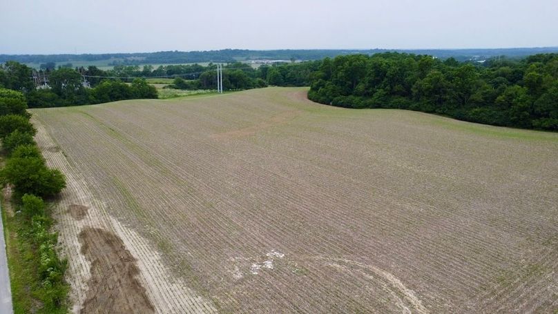 A15