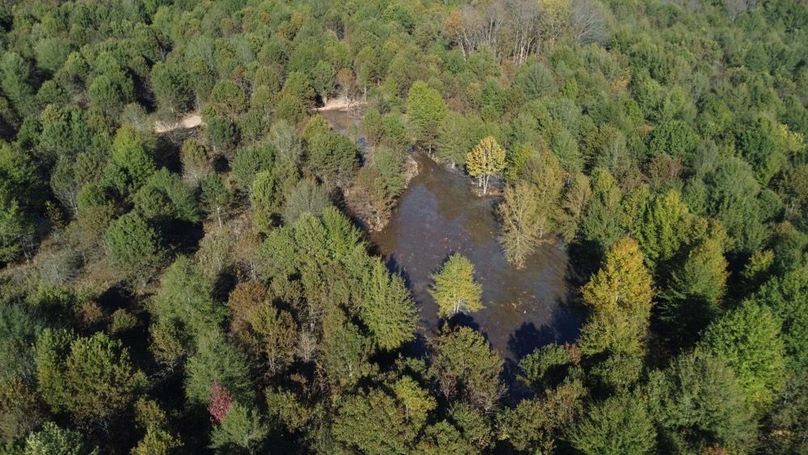 1a1 jeff 8320251111_0234