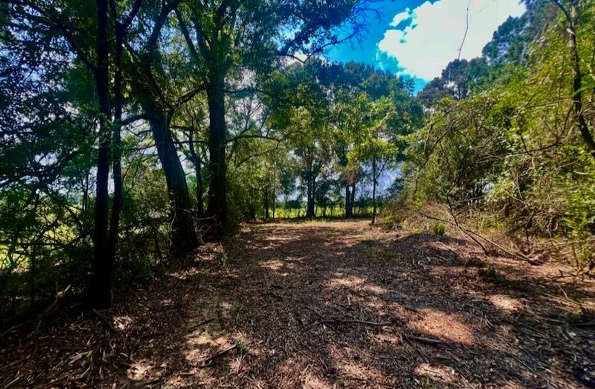 4E3800FB-EAD8-4DB5-B3FB-8C62D6D85562_1_105_c