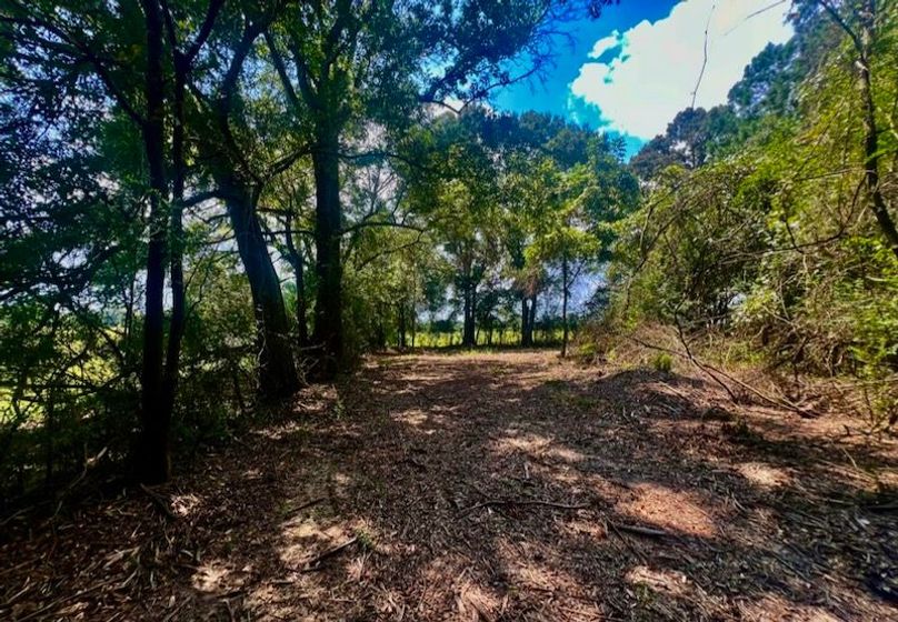 4E3800FB-EAD8-4DB5-B3FB-8C62D6D85562_1_105_c