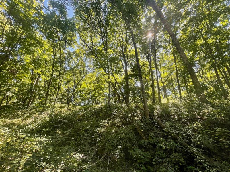 Grant 110 - 33 of 47