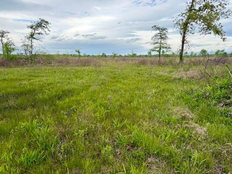 11DCC650-B952-4C4A-890A-ABDAADE2702E_1_105_c