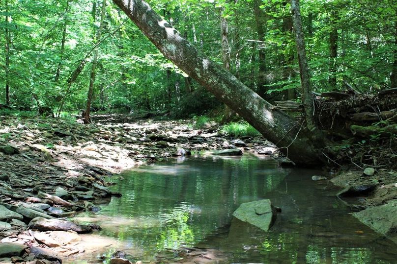 018 another shot of a pool in the Brush Creek stream