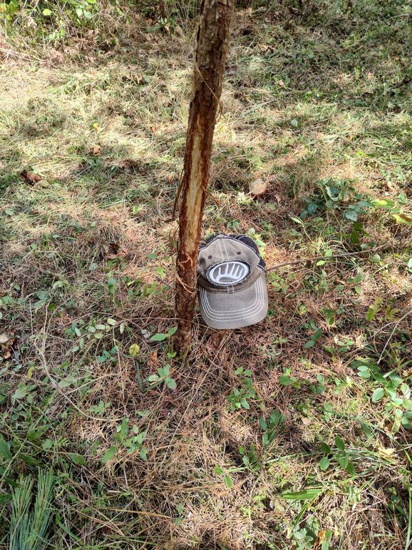 IMG_20231009_132417751_HDR