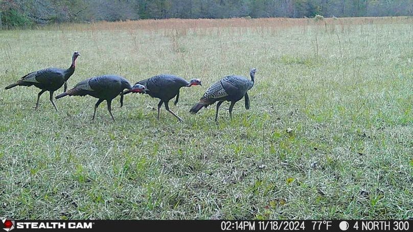 Copy of Copy of IMG_3810