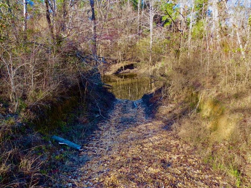 DF2E2E0D-D650-4C4D-9C72-51B68D9CFF1F_1_105_c