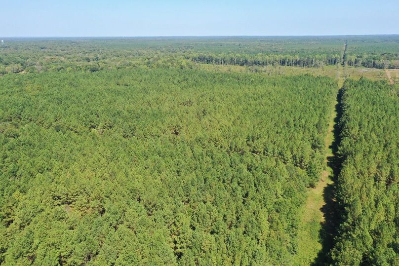 86A3B3AE-BA90-4D56-96B4-0965F6509659_1_105_c