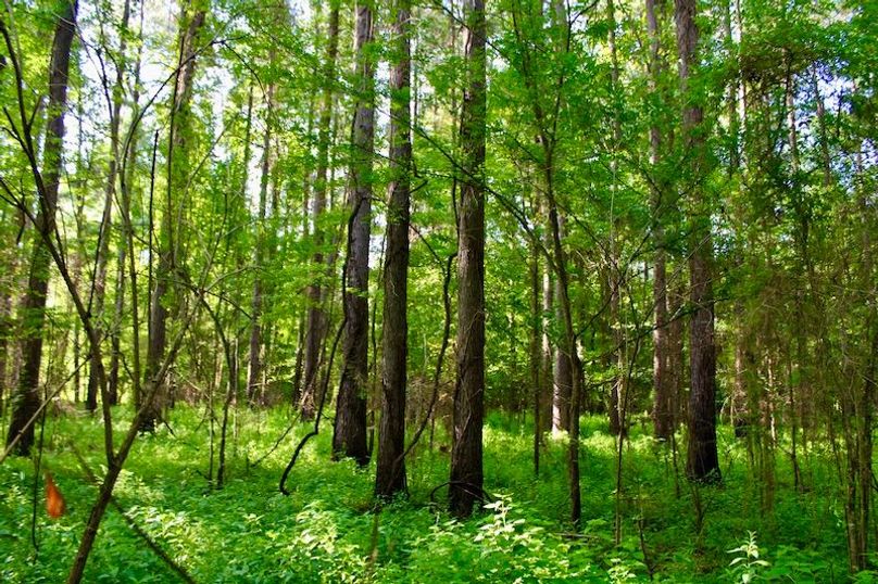 209C429E-055B-4F13-B77F-740068D6C742_1_201_a