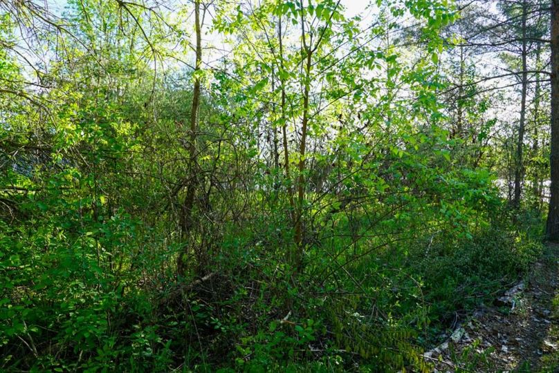 DSC00999