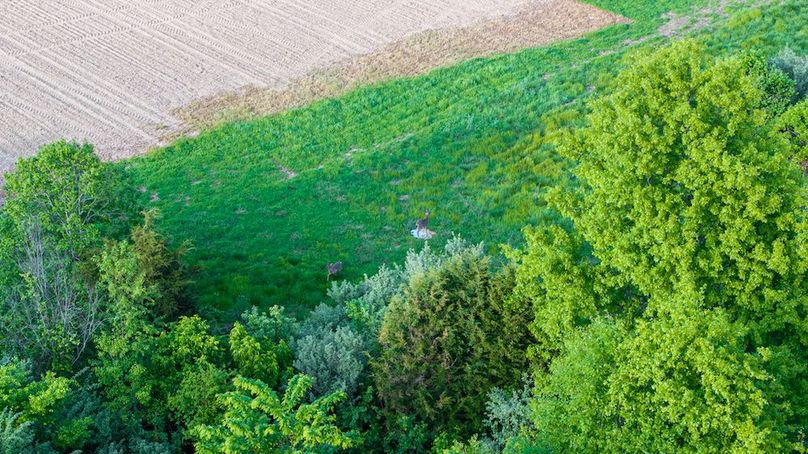 DJI_20260426181913_0010_D