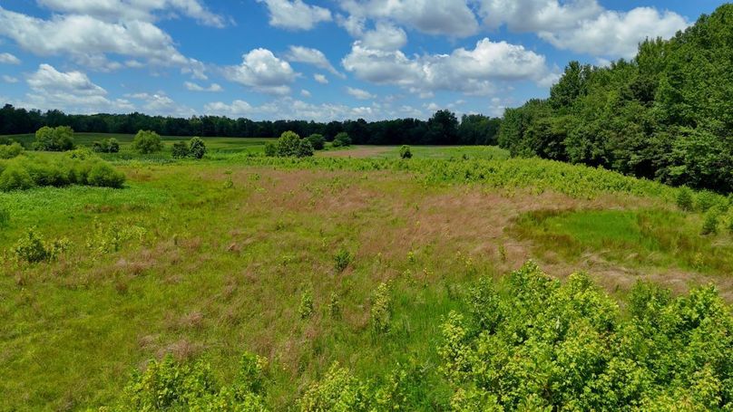 Sequence 10.00_03_58_02.Still013