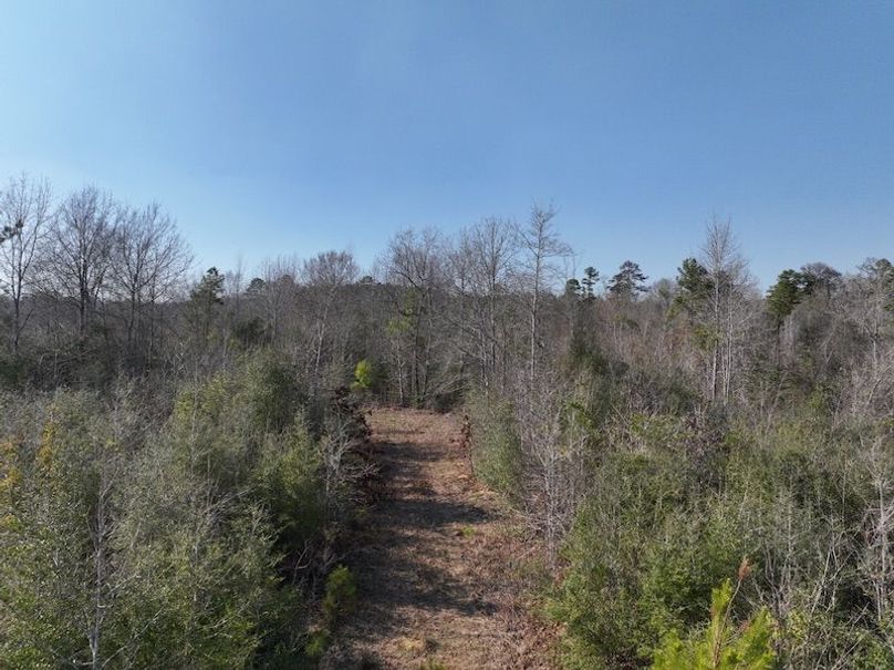 504EC44D-592C-43F0-806C-493EB836ABD2_1_105_c