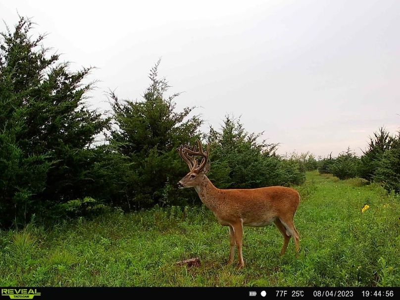 14FDA7F7-D6DC-4CF9-AE75-B79394DD4397