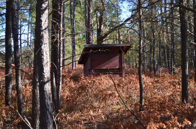 Screenshot 2025-11-14 at 11.19.17 AM