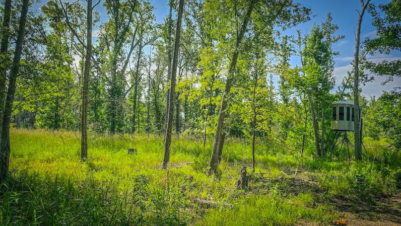 Copy of 9-20250710_100144