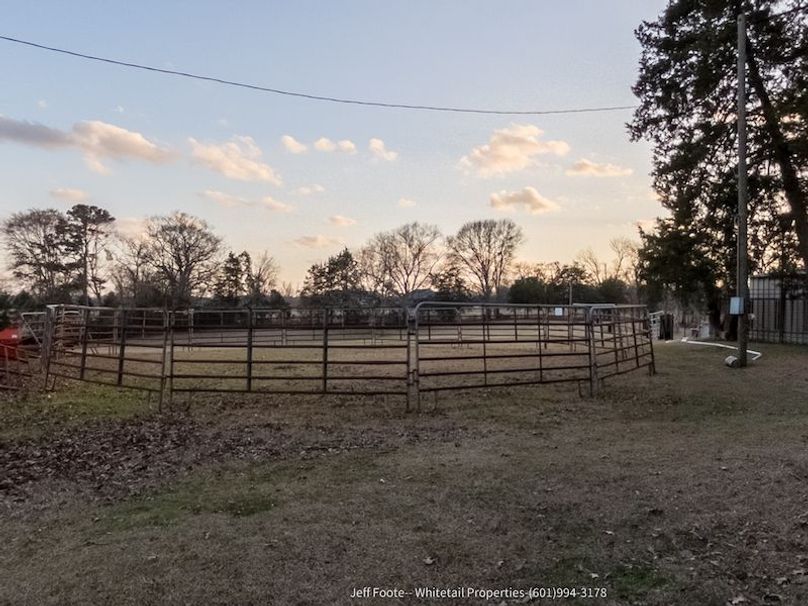 Hinds - 25.48 - Hank Beasley-8