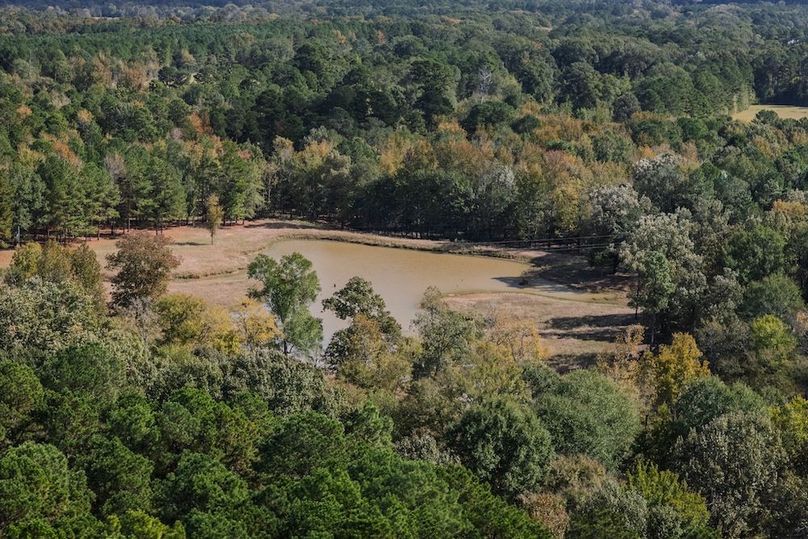 56 harrison 417ac pics-129