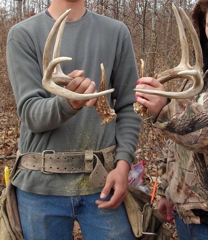 42910106_176056923294674_7975441002347364352_n