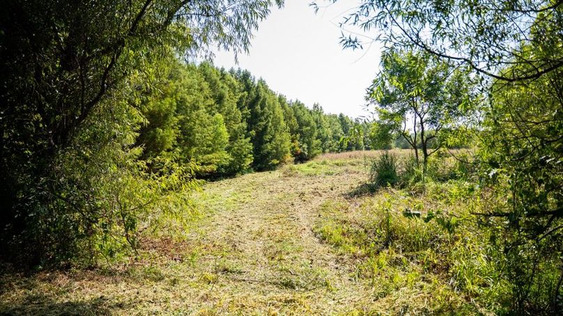 MadisonParLa1372-107