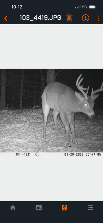 Screenshot 2026-04-02 at 10.12.02 AM