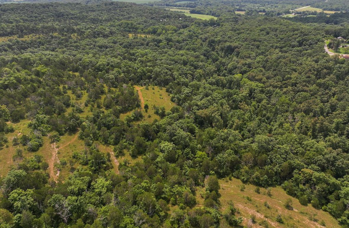 DJI_20250730112639_0502_D