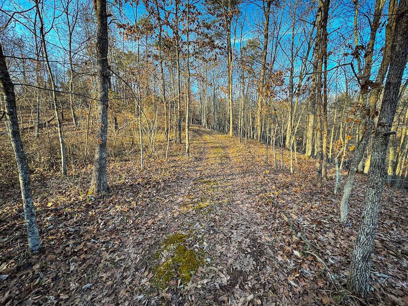 Jackson, WV 118.94 AC Shafer-082