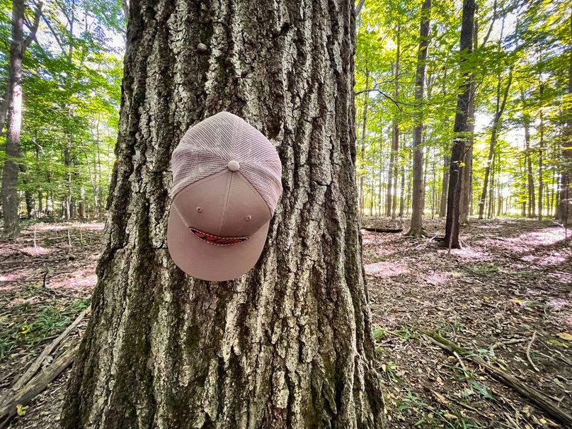 Tompkins_55.05_Hildreth_Photos_7