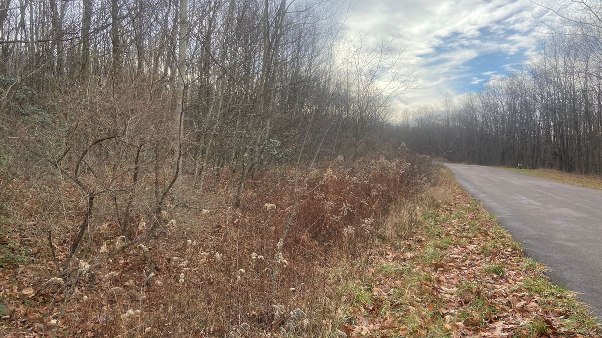 Buildable Lot With Acreage In Private Community Whitetail Properties