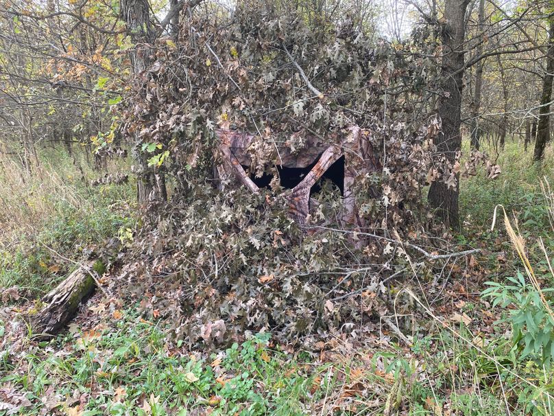 pics from late 2021 and early 2022. New plots being planted in Aug 2023 for new pics (48)