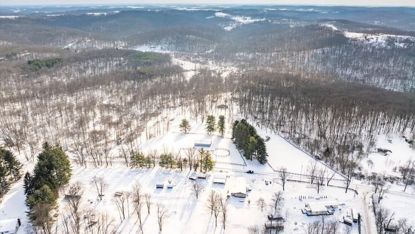 03-z 18408 Brushy002-2