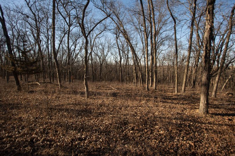 WORTH CO MO 537.44_27