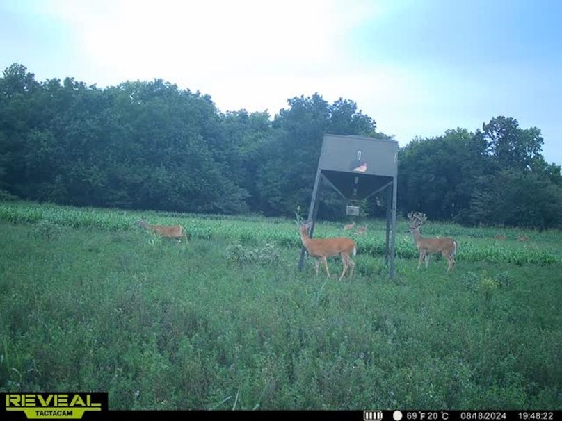 865509050069214-100-2-08182024194834-w1011724