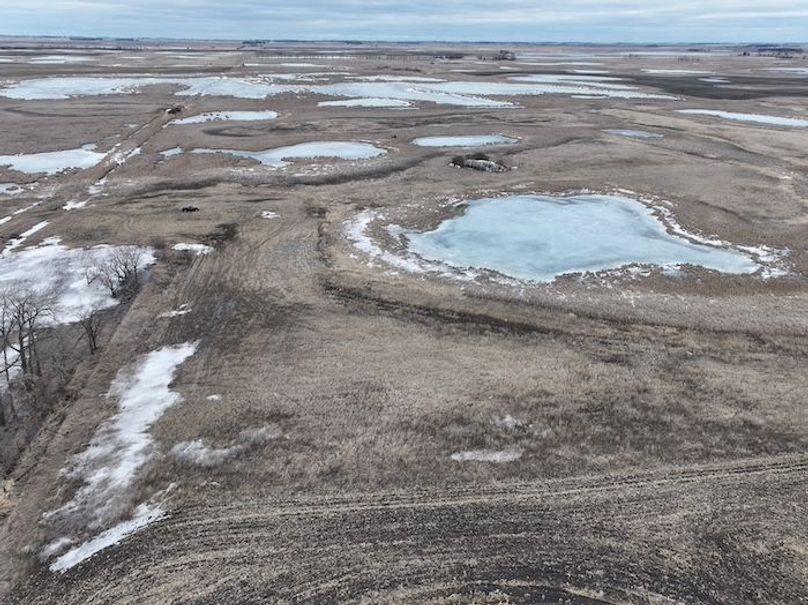 DJI_20260305170901_0144_D