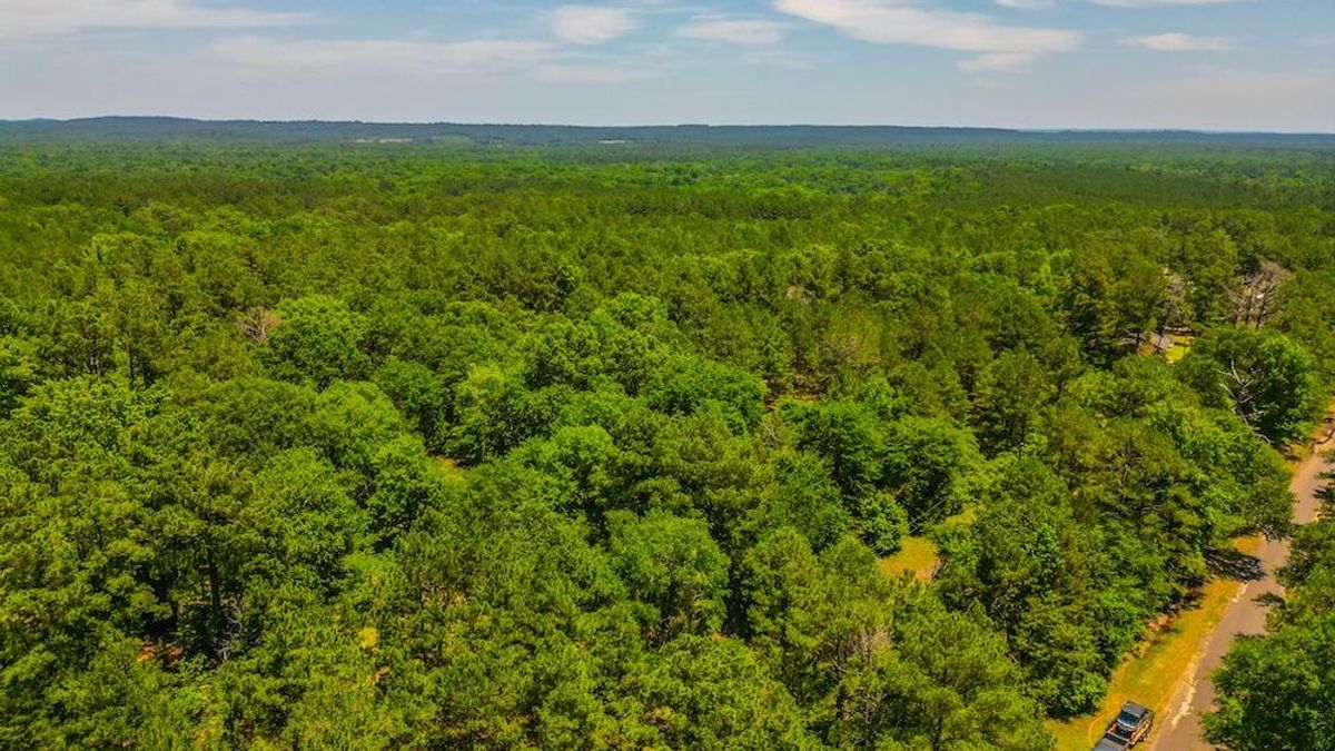 Whispering Woods Your Gateway The Outdoors Bordering The Neches River Refuge Whitetail Properties 2262