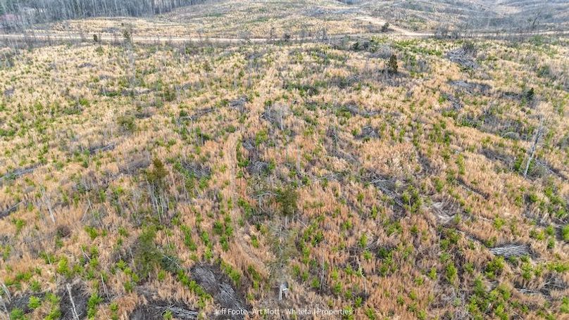 Holmes County - 108 - Rodriguez-39