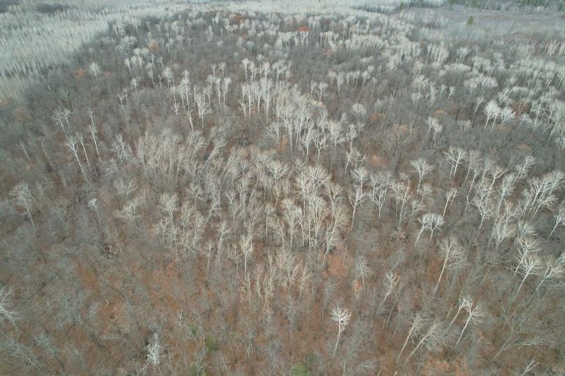 dji_fly_20251104_160658_1_1762294540459_photo